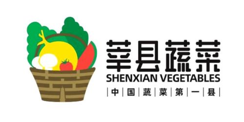 莘县蔬菜装进济南 菜篮子 ,每年定向供应1000万元新鲜蔬菜