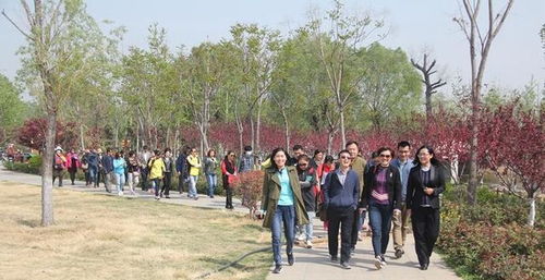 山东省市旅行社行业协会到济南平阴县开展旅游踩线
