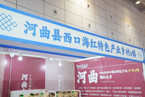 赋能未来 河曲农特产品闪耀2023中国休闲食品饮料博览会